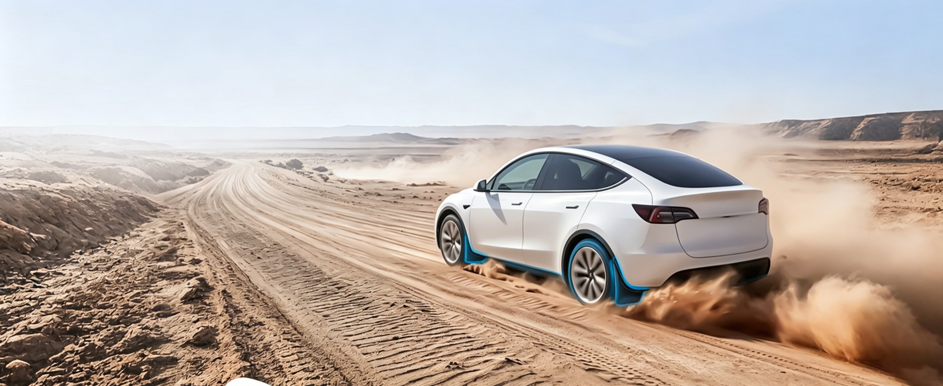 Tesla Mud Flaps