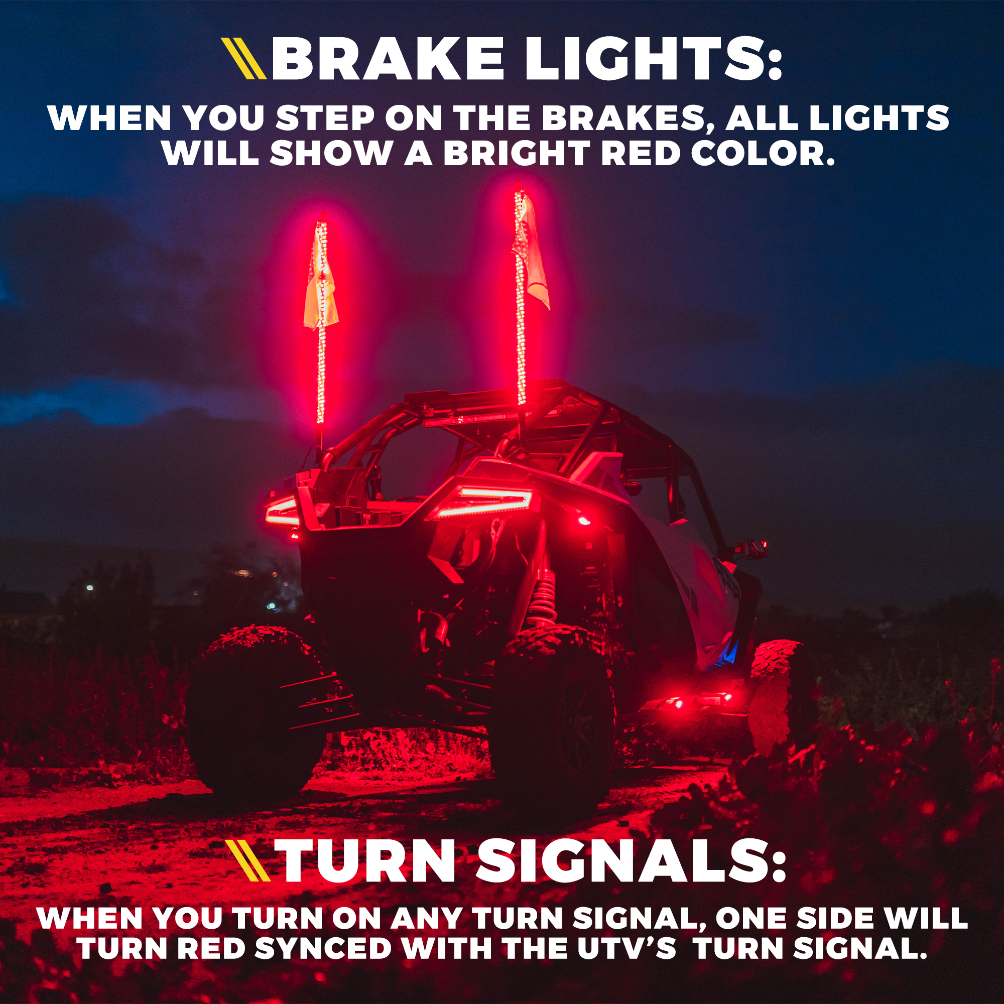 Multi-Color LED RGB-W Rock Lights